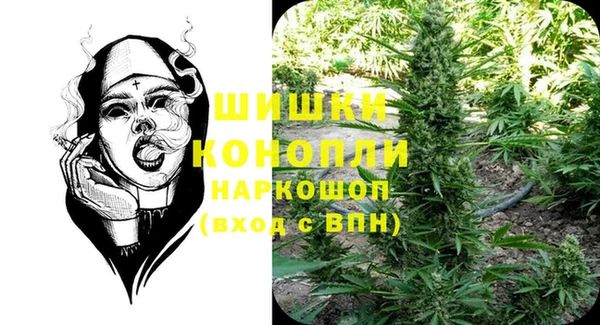 трава Сатка