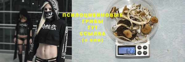 дмт Белокуриха