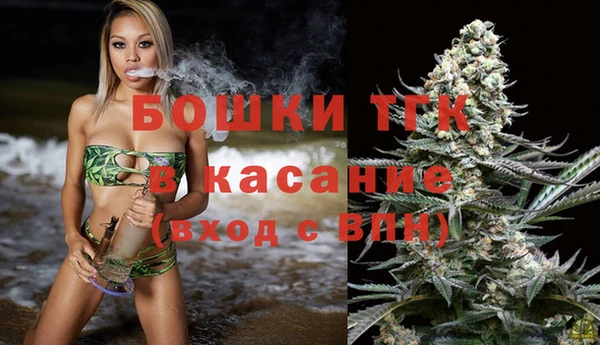 дмт Белокуриха