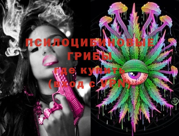 дмт Белокуриха