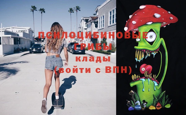 шишки Саяногорск