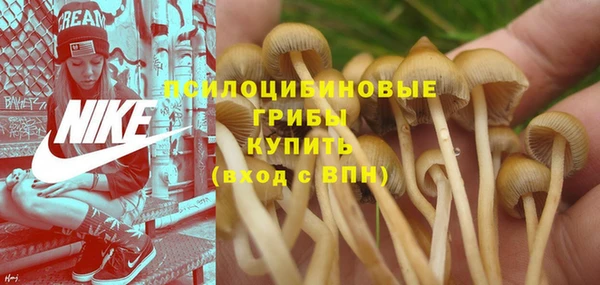 винт Беломорск