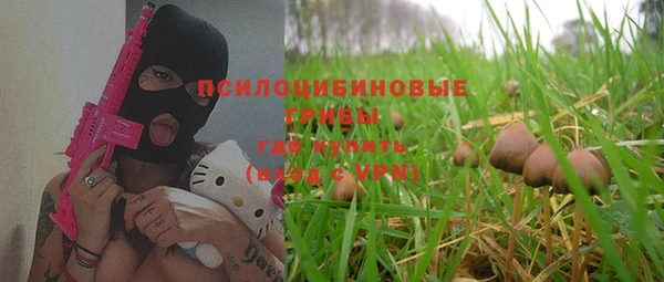 дмт Белокуриха
